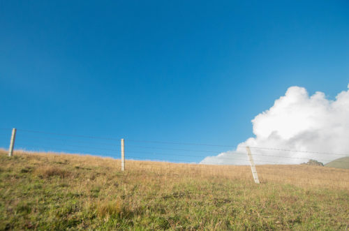 小程序開發(fā)