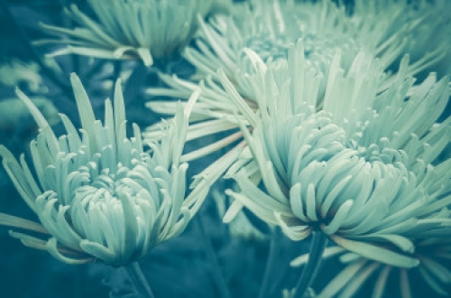 廣州微信小程序開發(fā)需要多少錢？