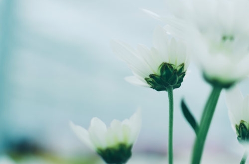 大連共享洗衣機(jī)適合開發(fā)小程序嗎？