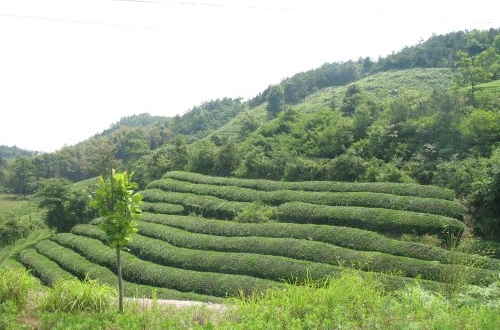 雄安微信小程序開發(fā)想要快速上線怎么做