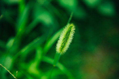 小程序開發(fā)