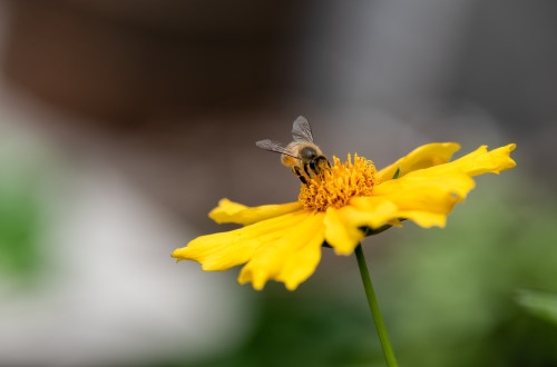 唐山商家如何利用小程序開發(fā)增加競爭力？