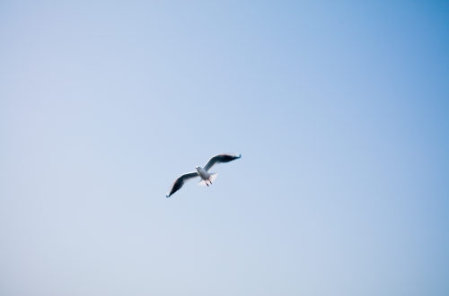 大連小程序開發(fā)要了解的內(nèi)容