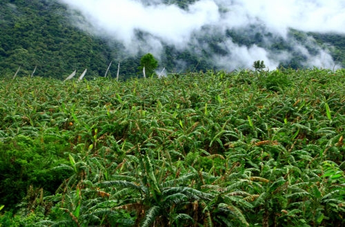 重慶政務OA辦公系統(tǒng)開發(fā)功能優(yōu)勢有哪些？