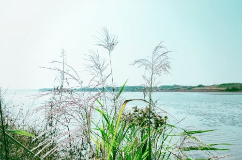 大連智慧公園小程序開發(fā)助力游覽體驗(yàn)升級(jí)