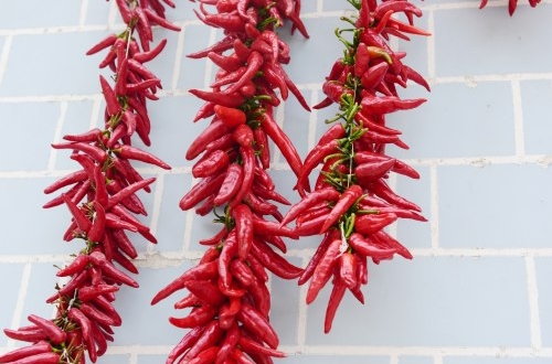 深圳志愿者小程序開發(fā)讓愛溫暖每一個角落