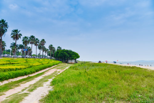 重慶軟件開發(fā)