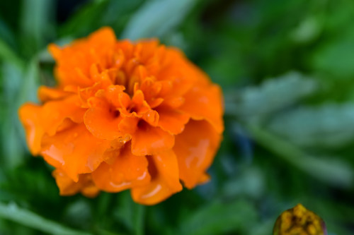 西安小程序開(kāi)發(fā)