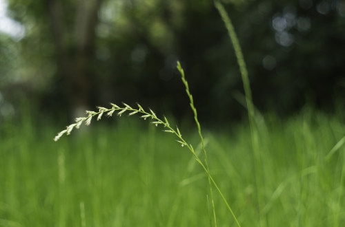 制造業(yè)企業(yè)ERP管理系統(tǒng)應(yīng)用方案