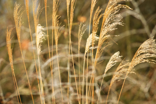 app定制開(kāi)發(fā)