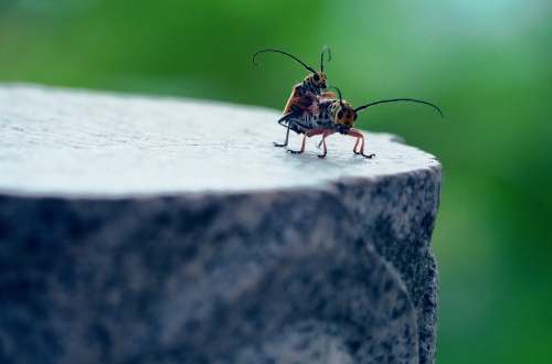 crm管理系統(tǒng)有效降低客戶流失率