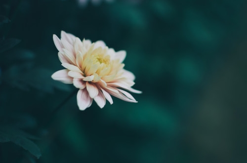 南京電力繳費小程序開發(fā)應具備哪些功能？