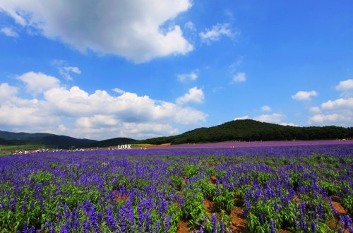 企業(yè)如何選擇合適的CRM管理系統(tǒng)？