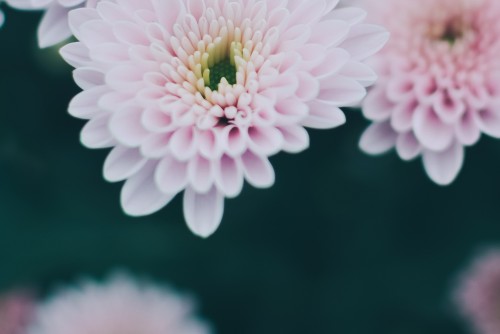 廈門小程序開發(fā)