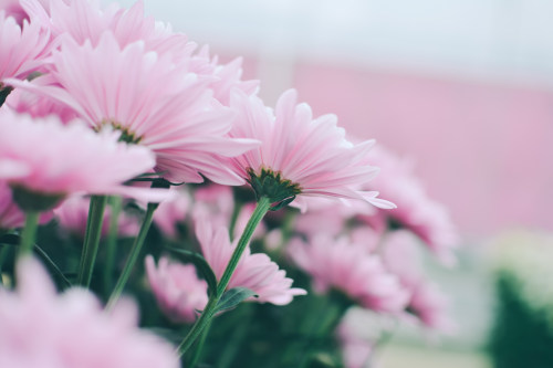 商城小程序開(kāi)發(fā)