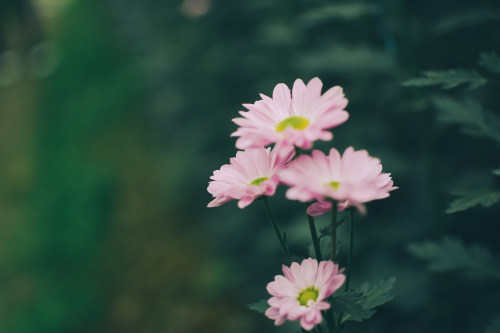 南昌小程序開發(fā)