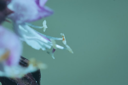 深圳小程序開發(fā)費(fèi)用大概需要多少？