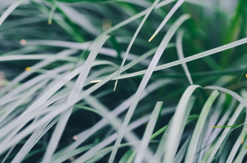 國內(nèi)排名前十的erp系統(tǒng)都有哪些?