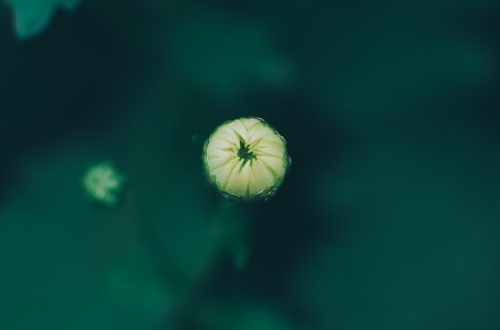 廣州酒店小程序開發(fā)的功能分享？