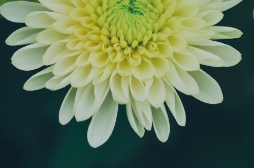 杭州團購小程序開發(fā)能幫助我們實現(xiàn)什么？