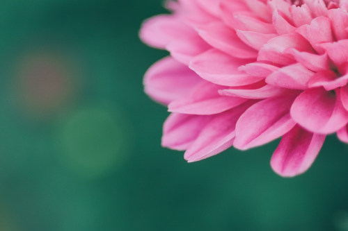 寧波小程序開(kāi)發(fā)