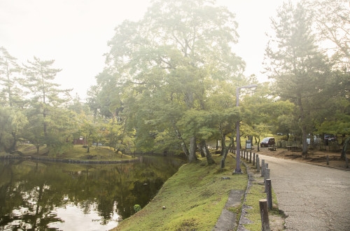 大連小程序開發(fā)如何幫助商家裂變更多用戶？