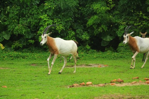 體育場館預(yù)約小程序開發(fā)