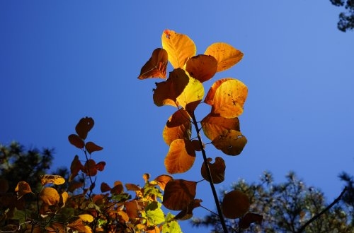 ERP管理系統(tǒng)有哪些部署方案？