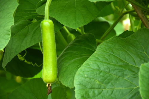 crm管理系統(tǒng)