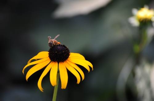 工廠倉庫erp管理系統(tǒng),倉儲進銷存管理軟件