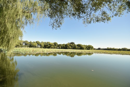 ERP管理系統(tǒng)