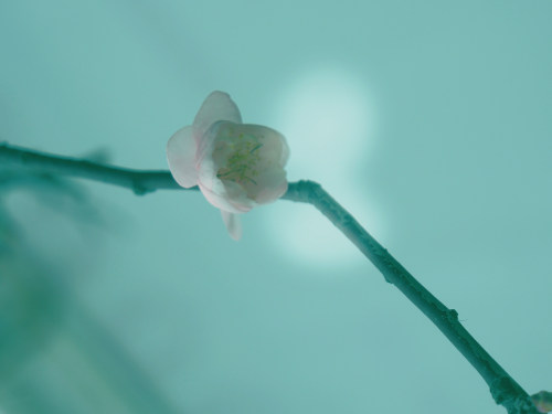 ERP管理系統(tǒng)