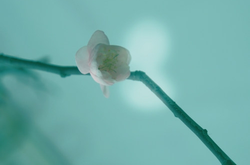 企業(yè)實施ERP管理系統(tǒng)有什么好處？