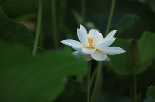 煙草業(yè)ERP管理系統(tǒng)實施所帶來的效益