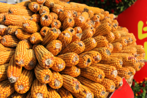 裝修app開發(fā)