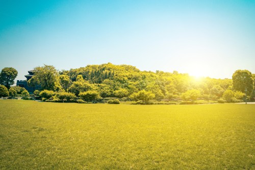 OA辦公系統(tǒng)