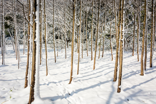 OA辦公系統(tǒng)