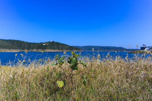 廈門小程序開發(fā)