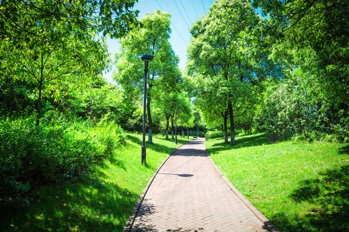 長沙小程序開發(fā)