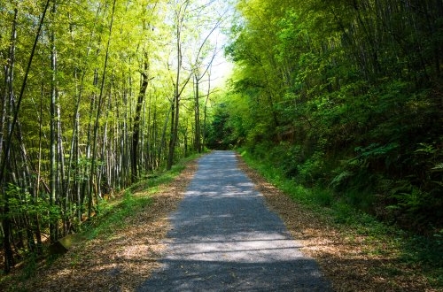 重慶erp管理系統(tǒng)定制哪家開發(fā)公司好