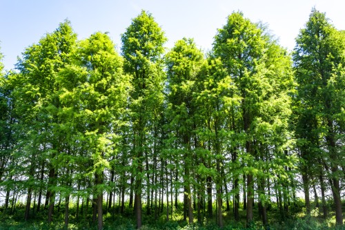 濟(jì)南小程序開發(fā)