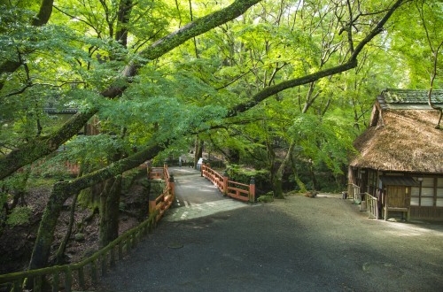 企業(yè)ERP系統(tǒng)有什么作用？